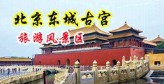 91淫妇视频中国北京-东城古宫旅游风景区